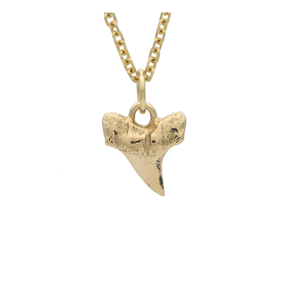 14K yellow gold shark tooth pendant on fine cut gold chain