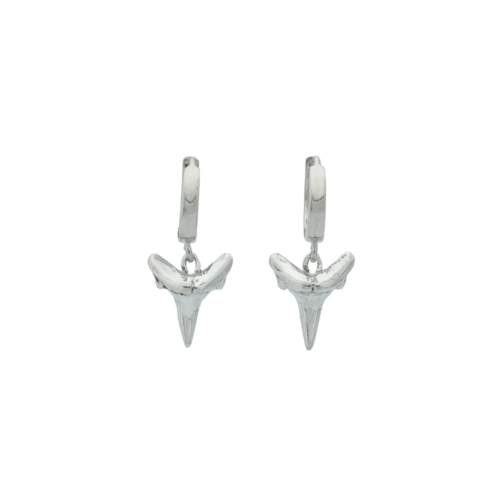 sterling silver shark teeth on silver clicker hoop earrings