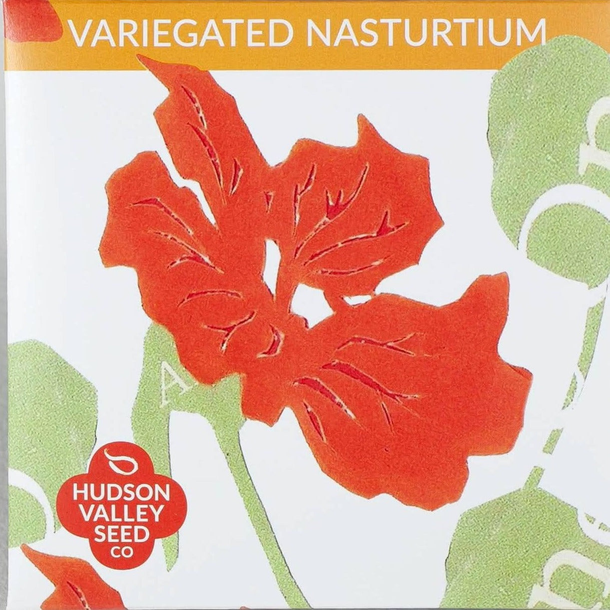 hudson valley seeds variegated nasturtium seed pack