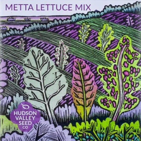 hudson valley seed company metta lettuce seed pack