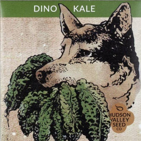 Dino Kale