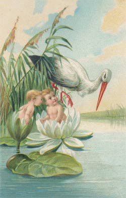 stork overlooking two babies card
