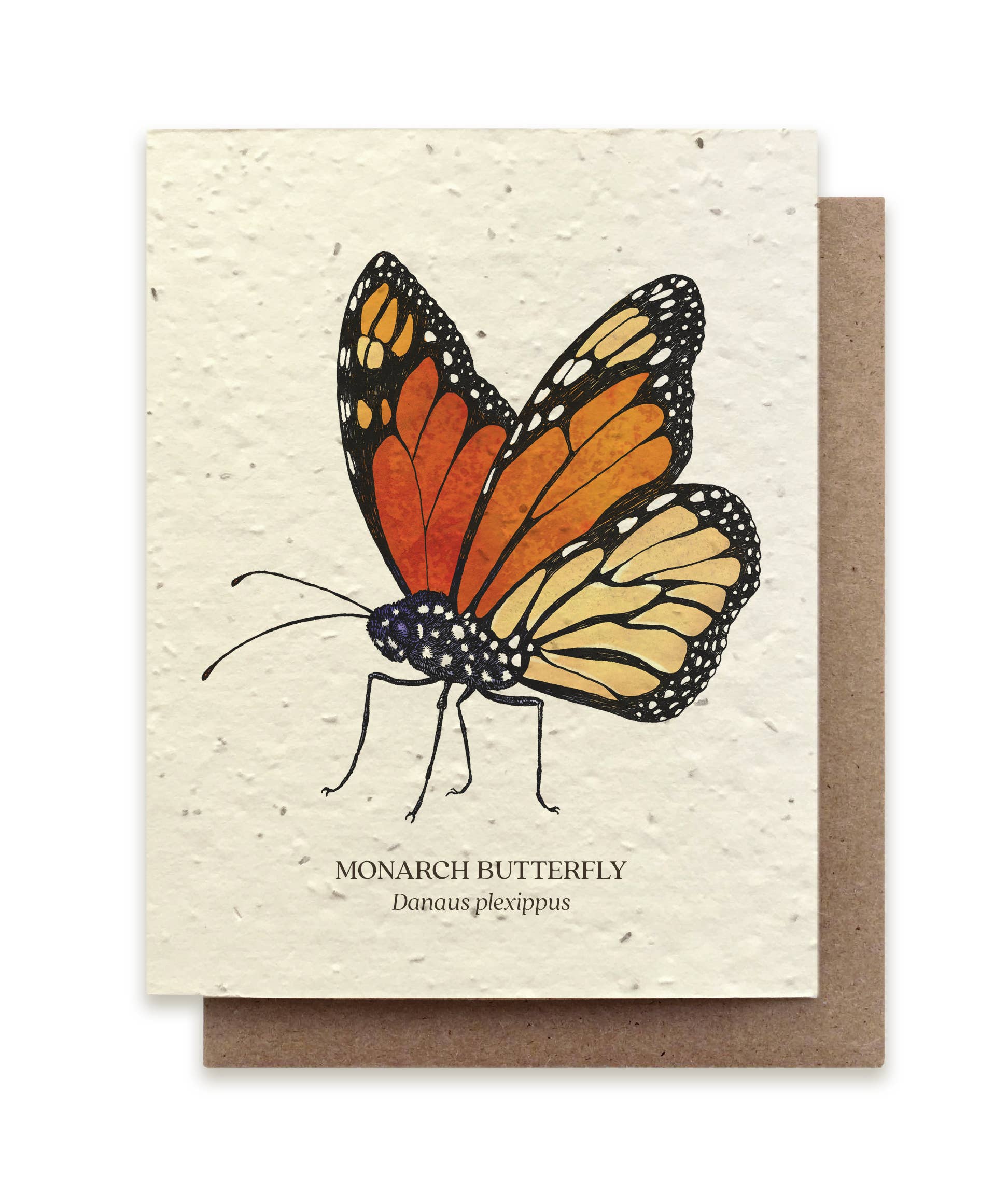 monarch butterfly plantable card
