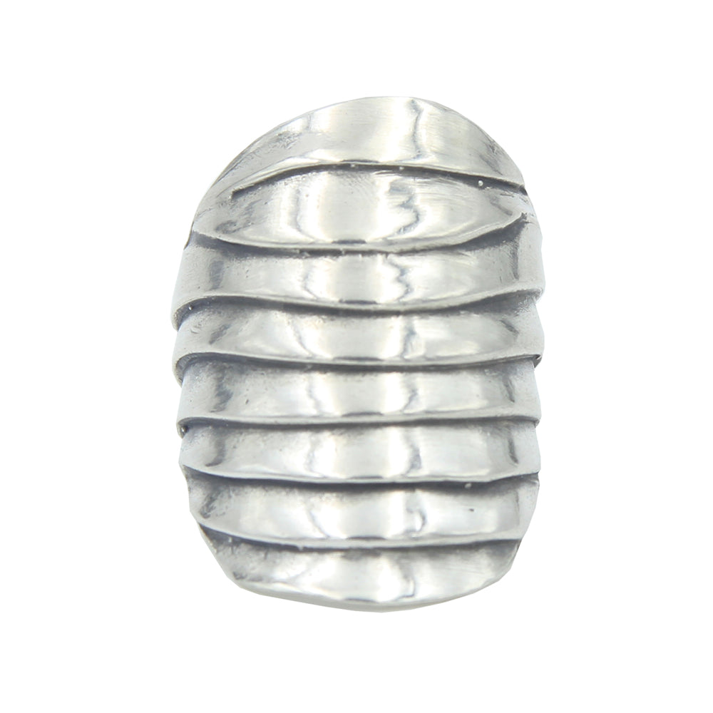 vertical image of silver scale ring shot from above showing organic layers of silver scales
