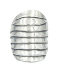 vertical image of silver scale ring shot from above showing organic layers of silver scales