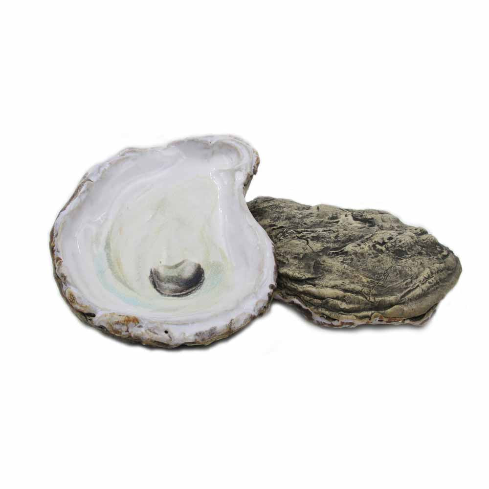 Oyster Shell Dish Beauty Size