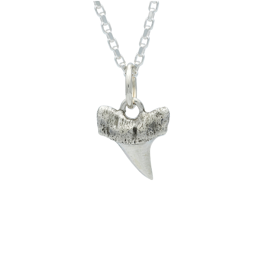 half inch silver shark tooth charm on diamond cut silver chain
