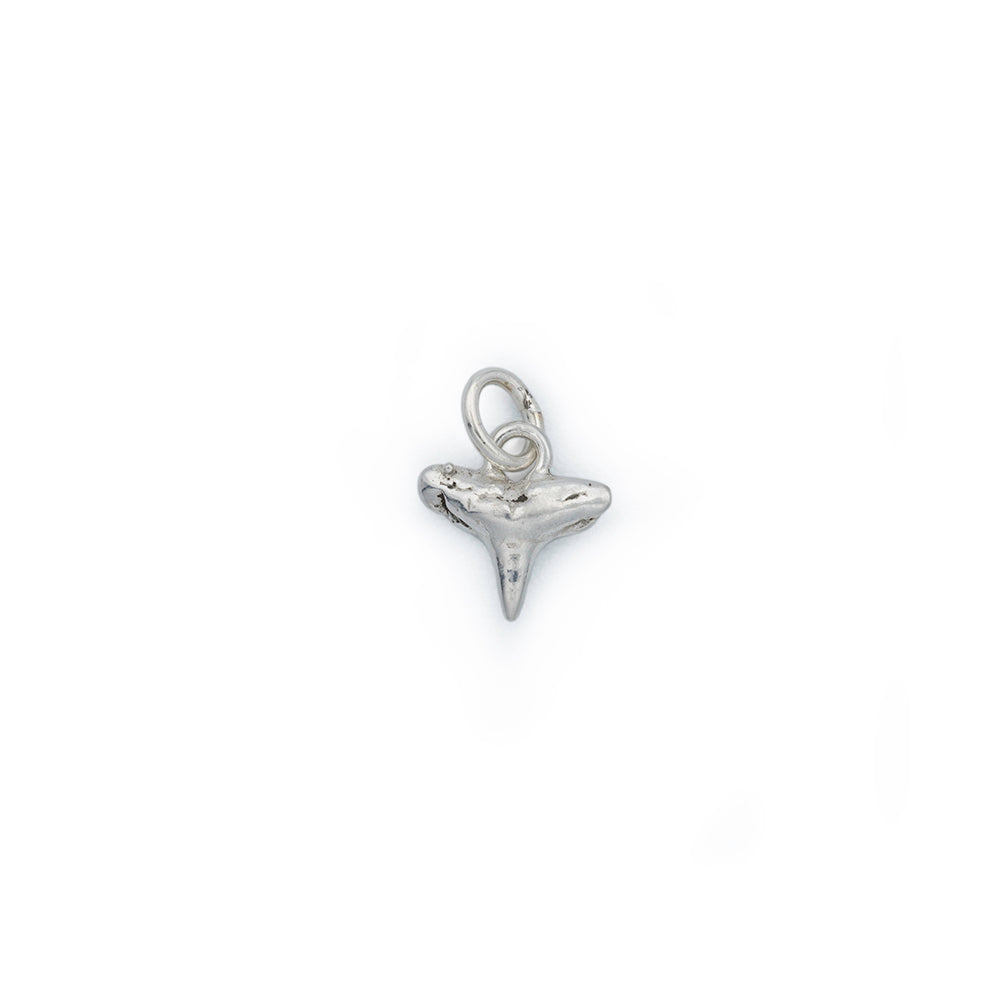 A tiny silver shark tooth charm hanging from a silver ring.