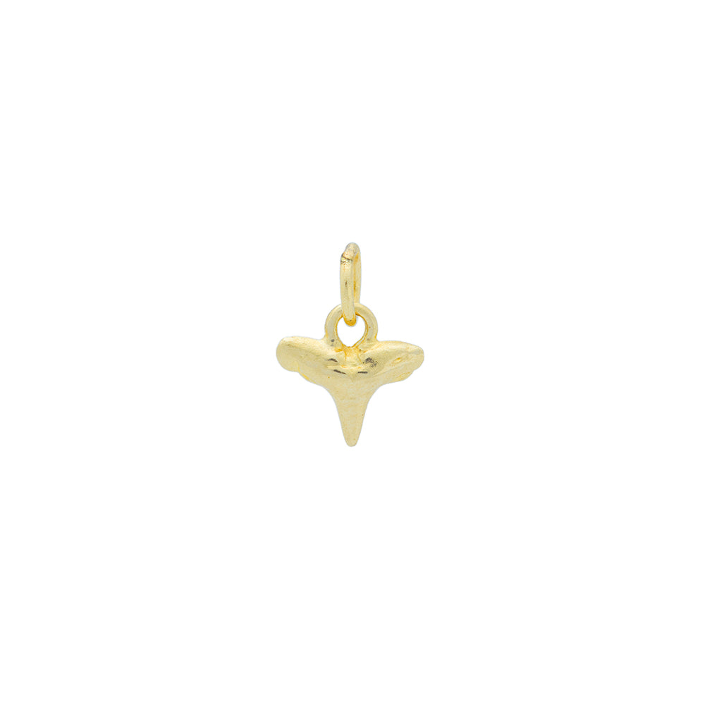tiny shark tooth charm in 14K yellow gold