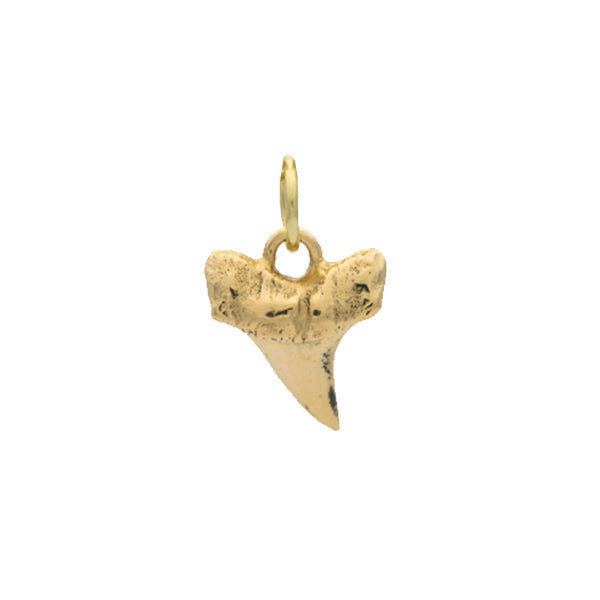 Gold Shark Tooth Charm