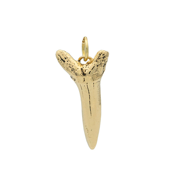 A one inch 10K yellow gold shark tooth charm on a  on gold hoop.