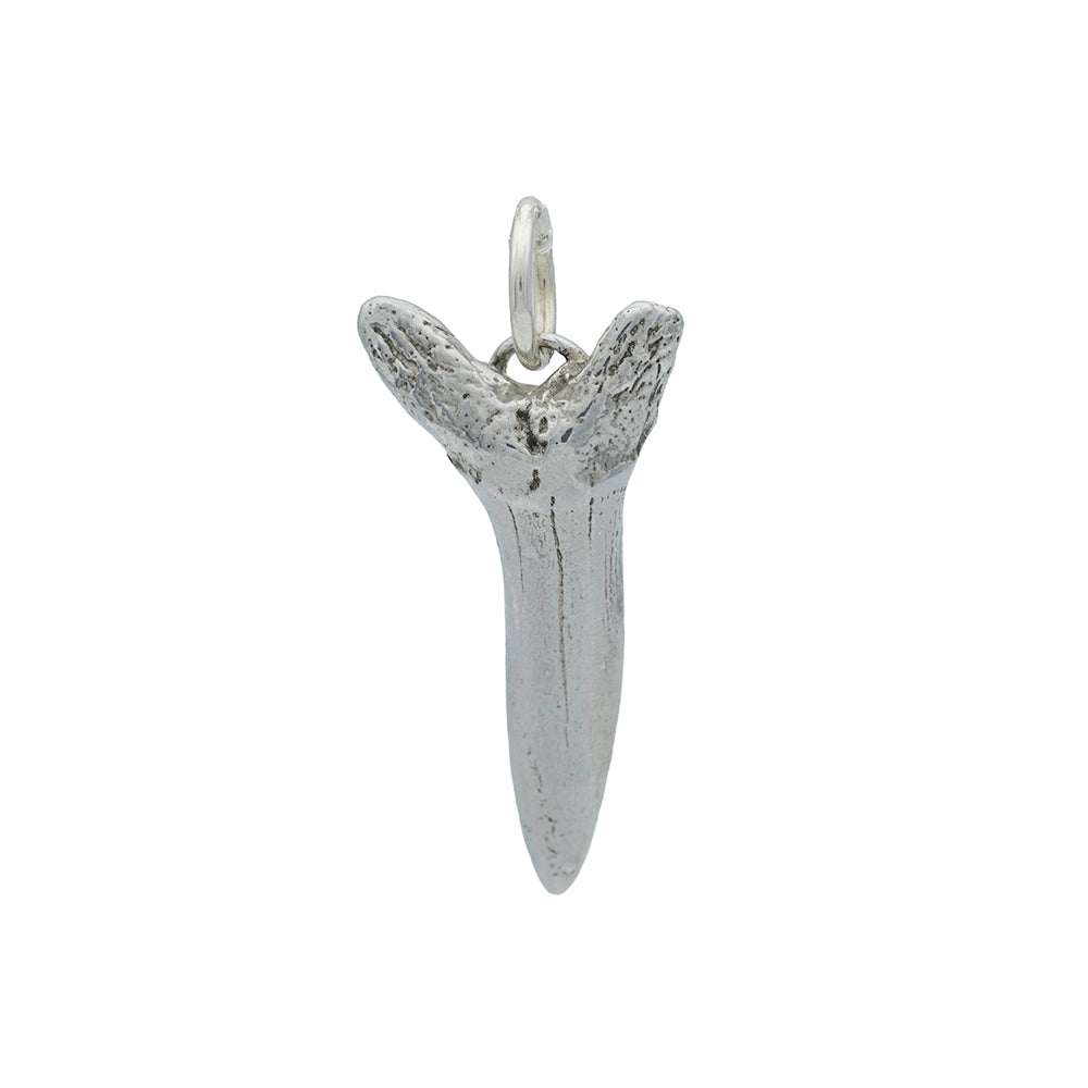 A one inch long silver shark tooth charm on silver jump ring.