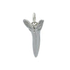 A one inch long silver shark tooth charm on silver jump ring.