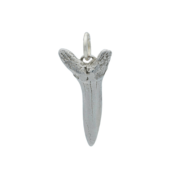 A one inch long silver shark tooth charm on silver jump ring.