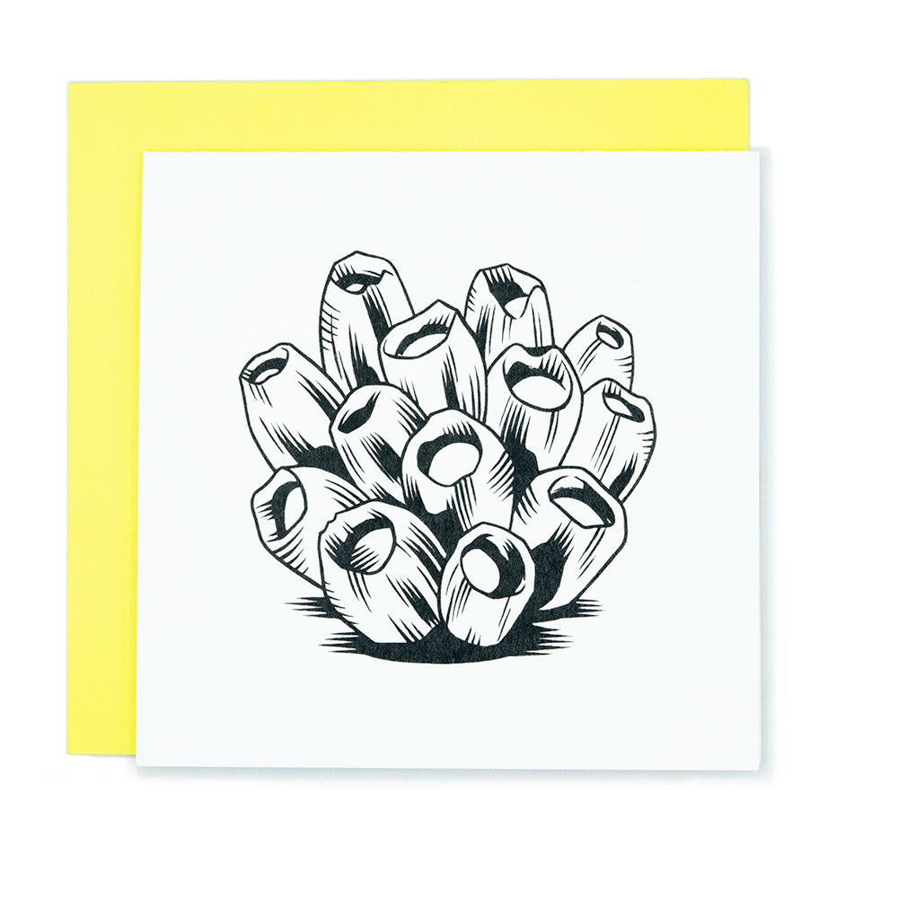 A square greeting card with an illustration of a barnacle cluster.  It rests on a bright yellow envelope.