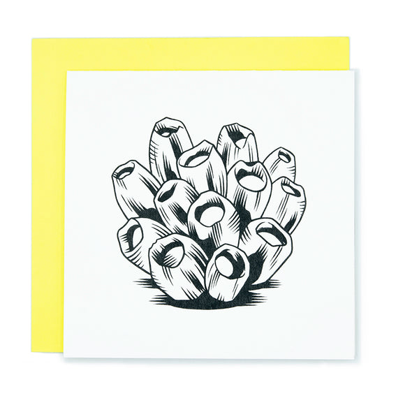 A square greeting card with an illustration of a barnacle cluster.  It rests on a bright yellow envelope.