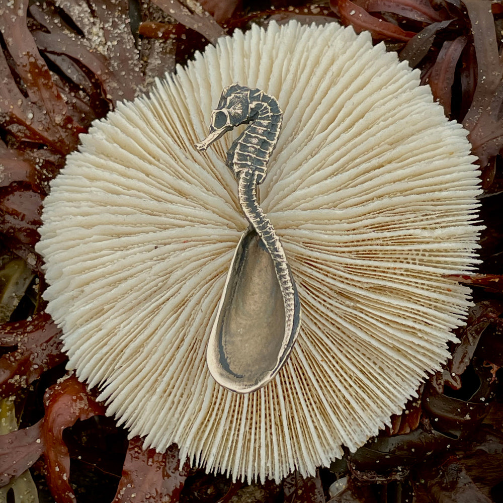 bronze seahorse spoon on coral on top of seaweed