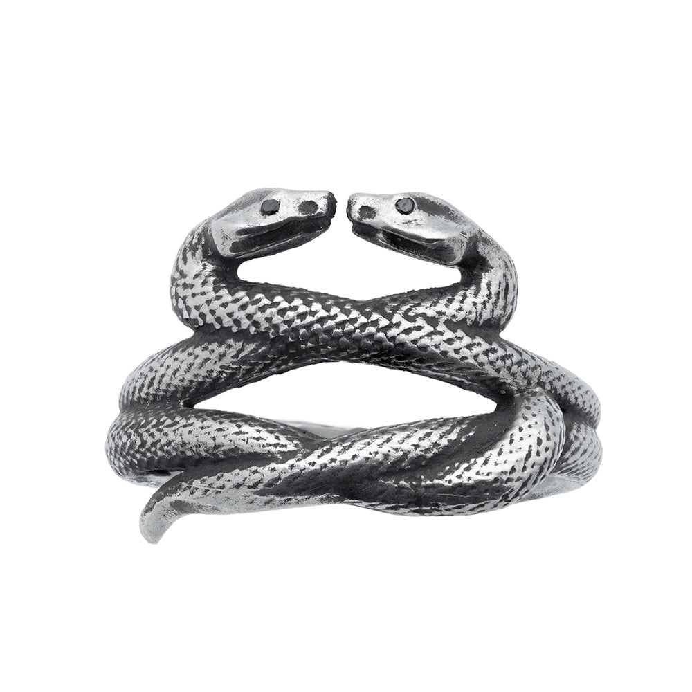 intertwined serpents in silver with black diamond eyes on a white background