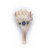 A Conch shell with a gold ring set with an oval star sapphire on a white background.
