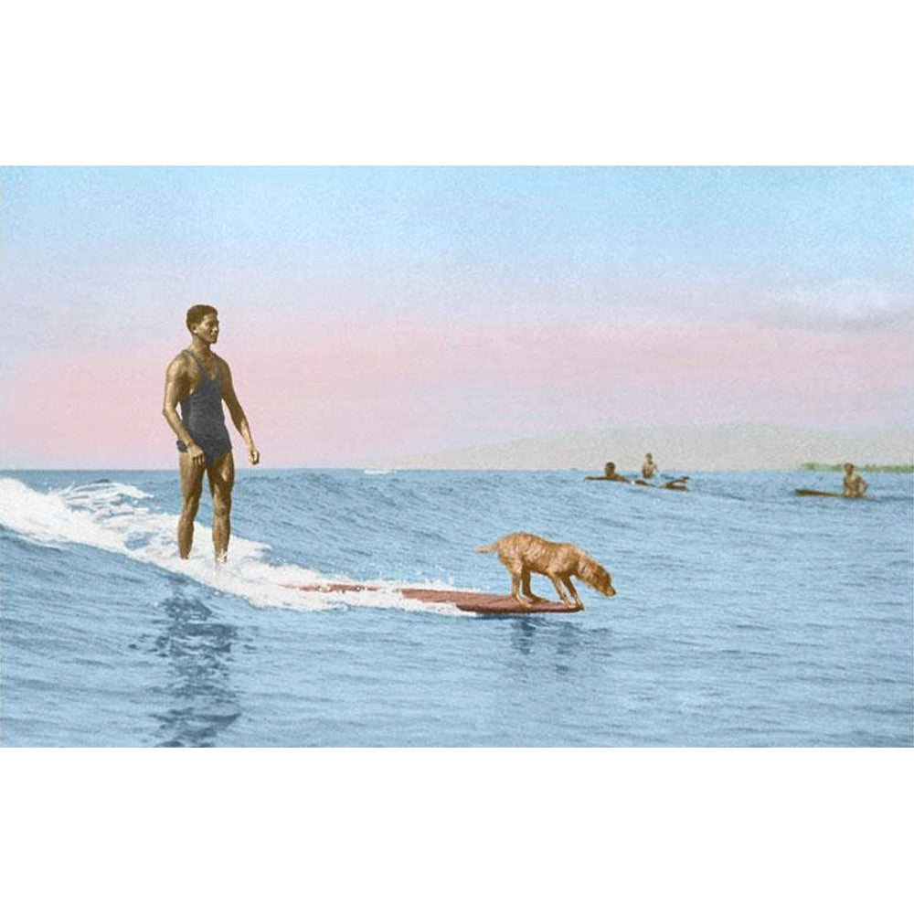 dog and man surfing on surfboard card