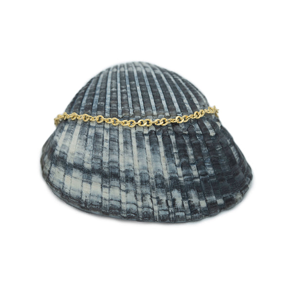 14k gold singapore twisted chain on black shell