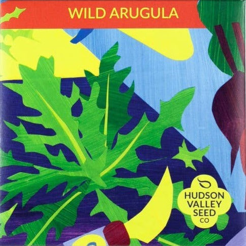 Wild Arugula Greens