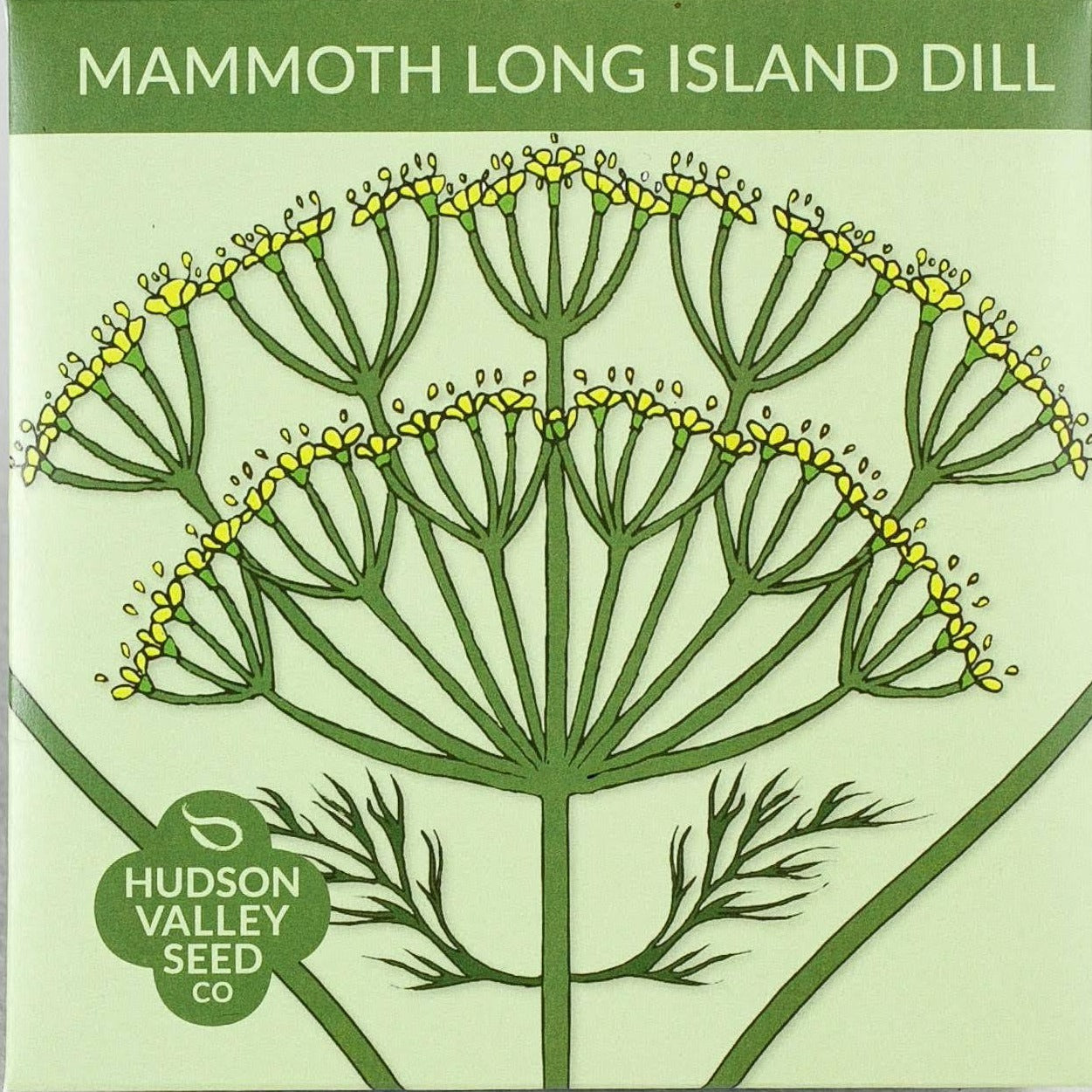 hudson valley seeeds mammoth long island dill seed pack