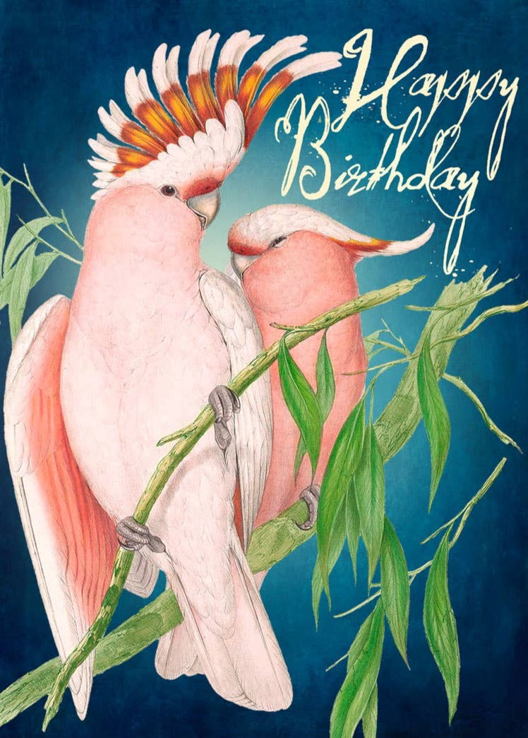 Parrots Birthday Card
