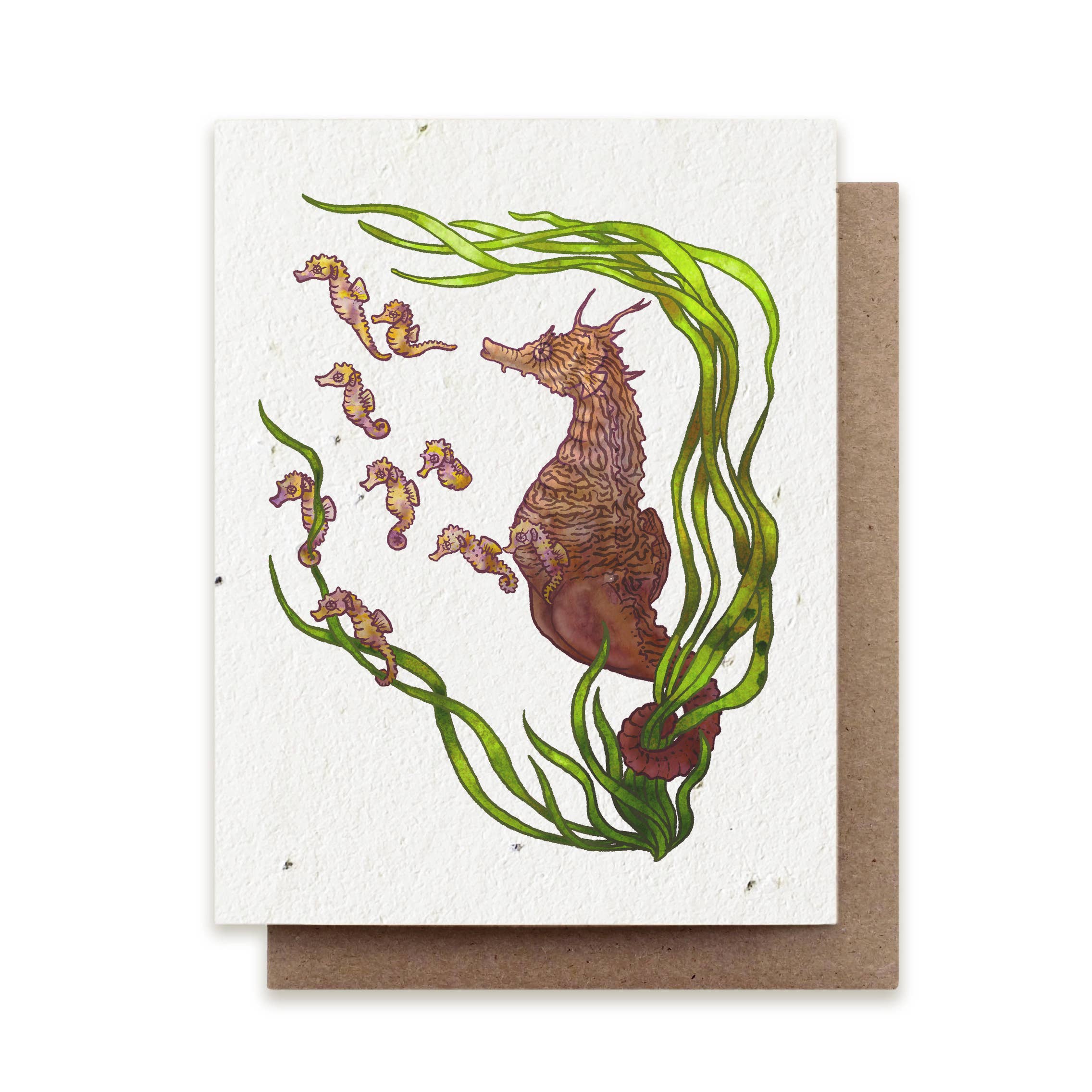 seahorse and baby seahorses plantable card