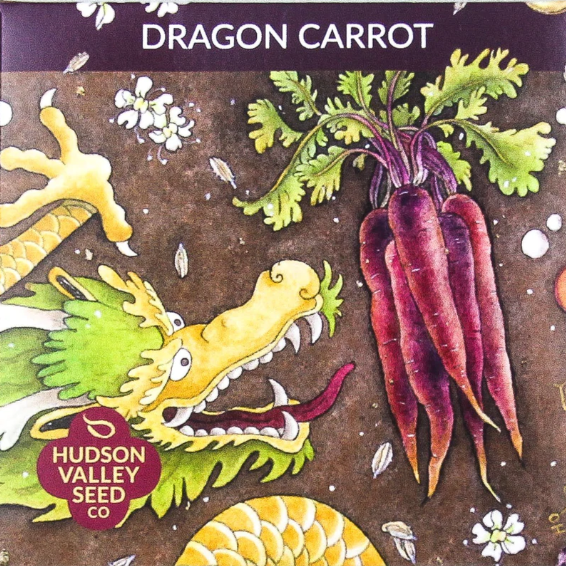 hudson valley seed company dragon carrot seed pack