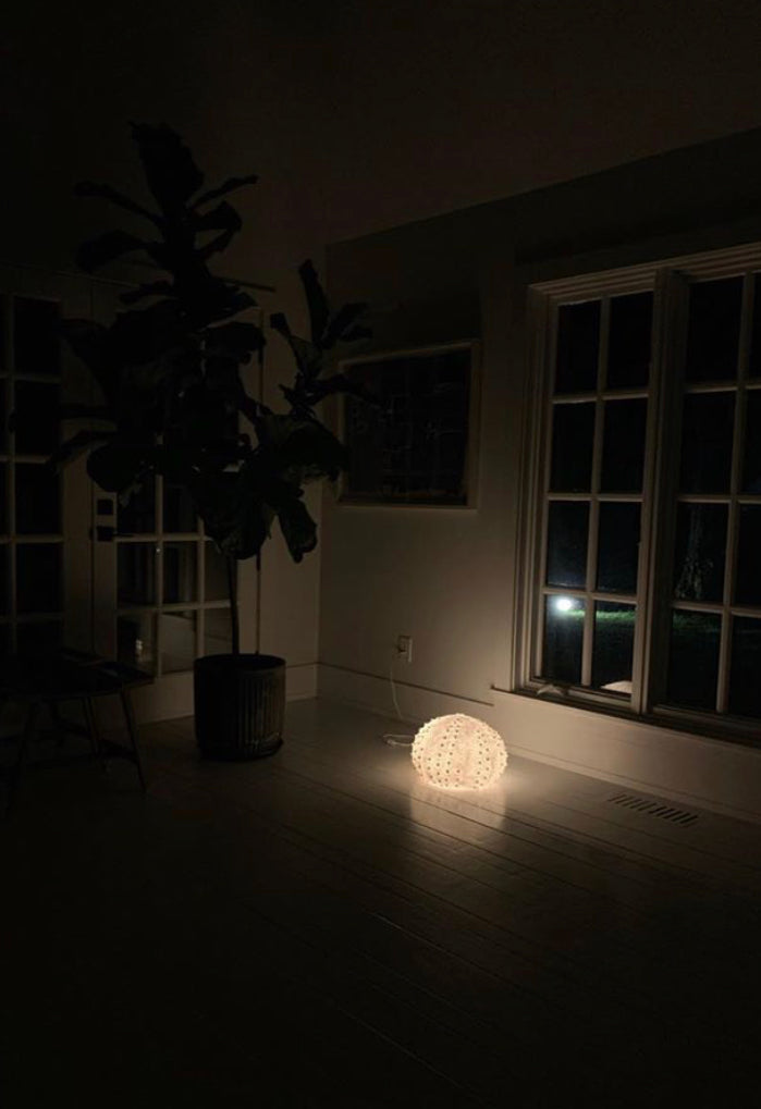 sandstone sea urchin lamp on floor lighting up a dark room at night
