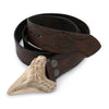 A Megalodon Belt Buckle in Bronze with Hand Stamped Brown Leather Belt that is coiled.