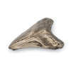A bronze megaladon shark tooth belt buckle.