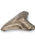 bronze megaladon shark tooth belt buckle