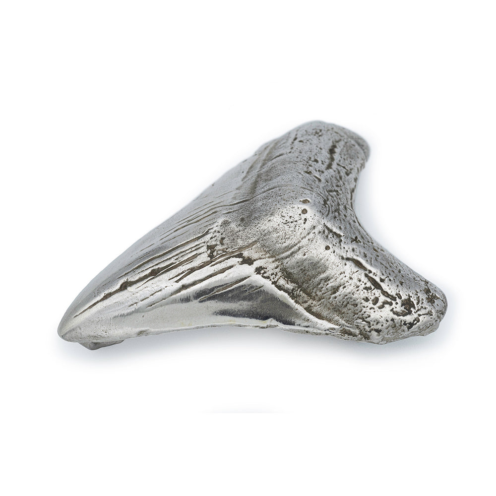 silver megaladon shark tooth belt buckle