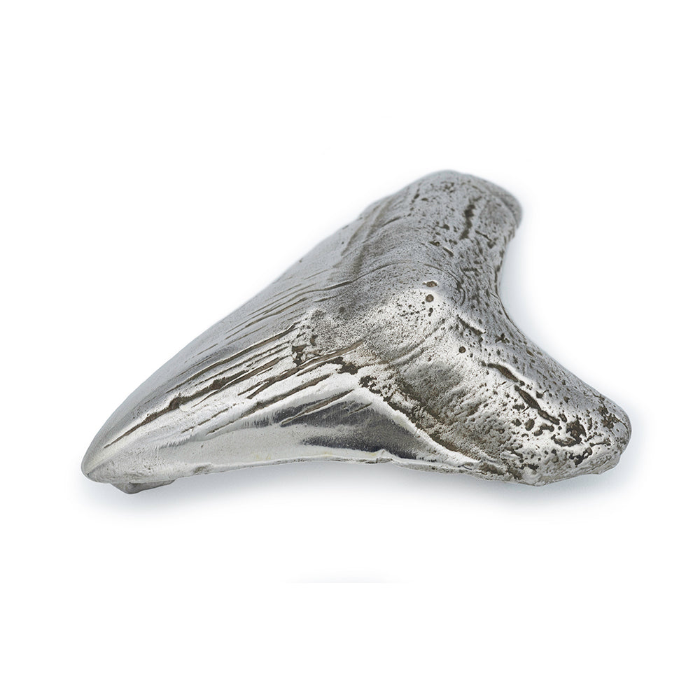 A silver megaladon shark tooth belt buckle.