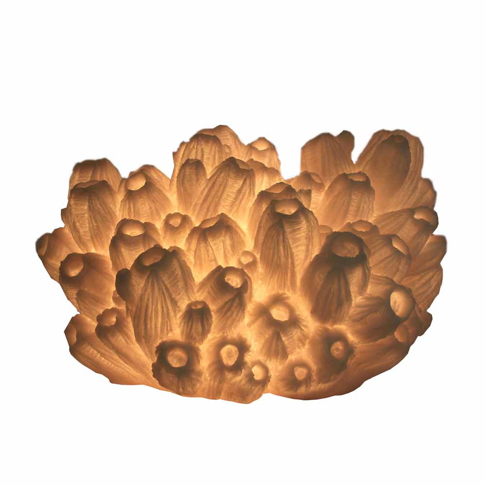 cast sandstone barnacle lamp