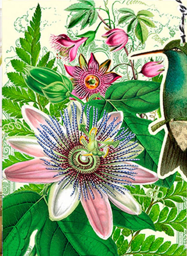 passionflower and hummingbird greeting card
