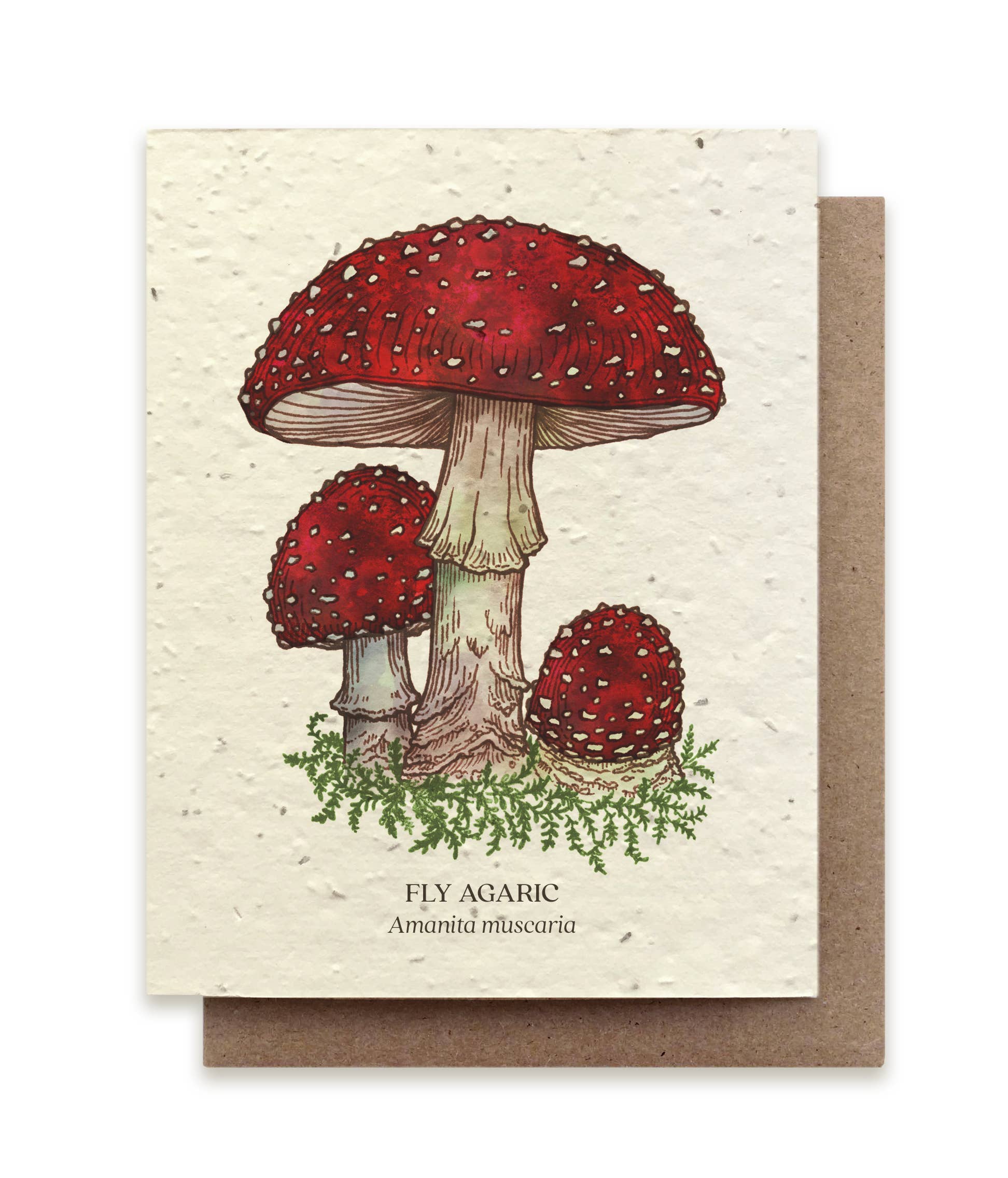 mushroom fly agaric card with seeds in paper