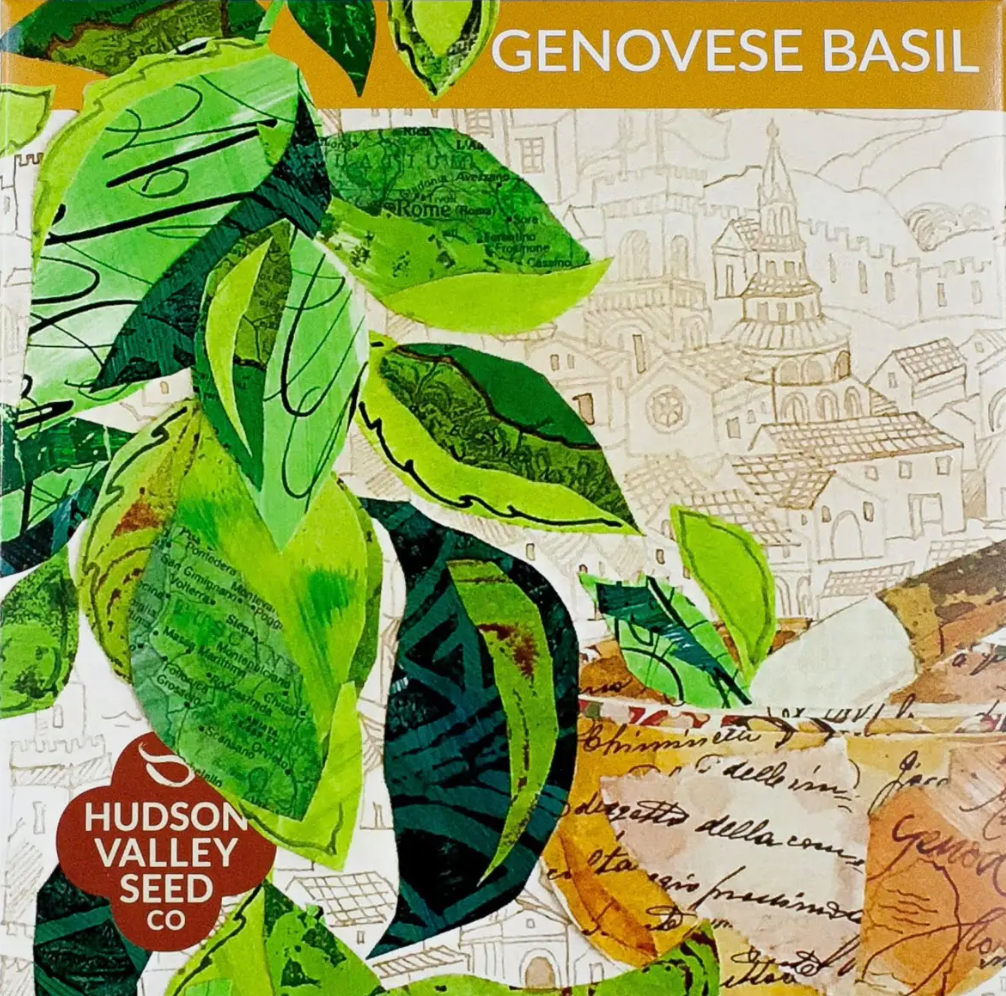 hudson valley seed co genovese basil art pack