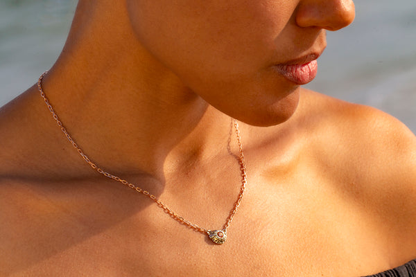 The Barnacle Rose
