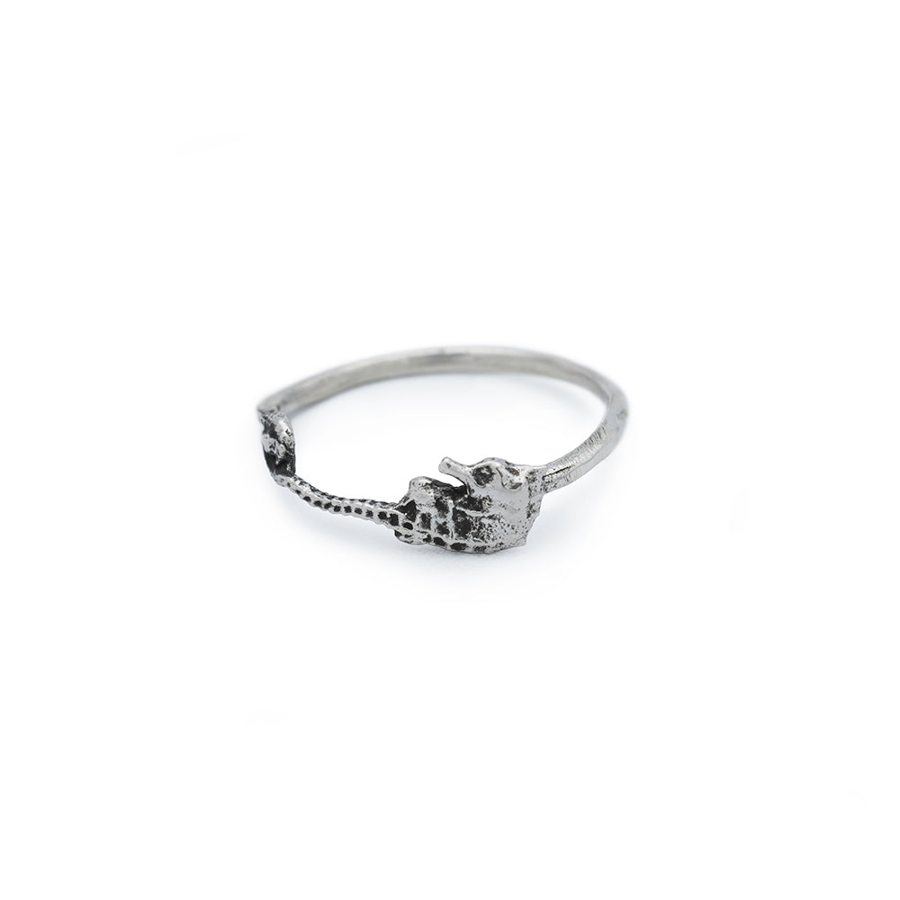 silver seahorse ring