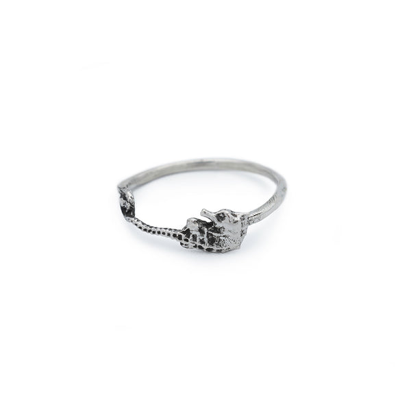 silver seahorse ring